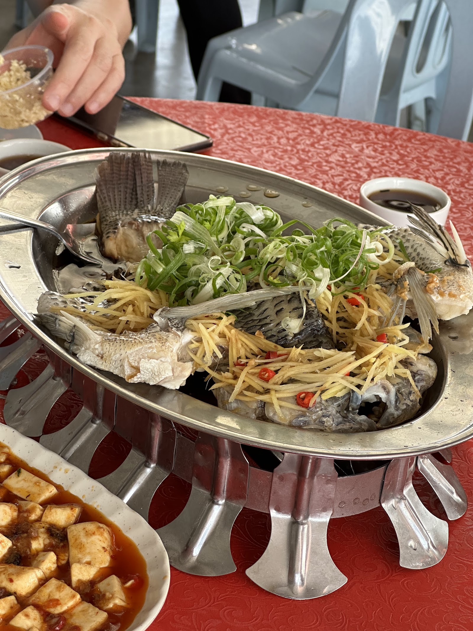 黄金蒸鱼 11